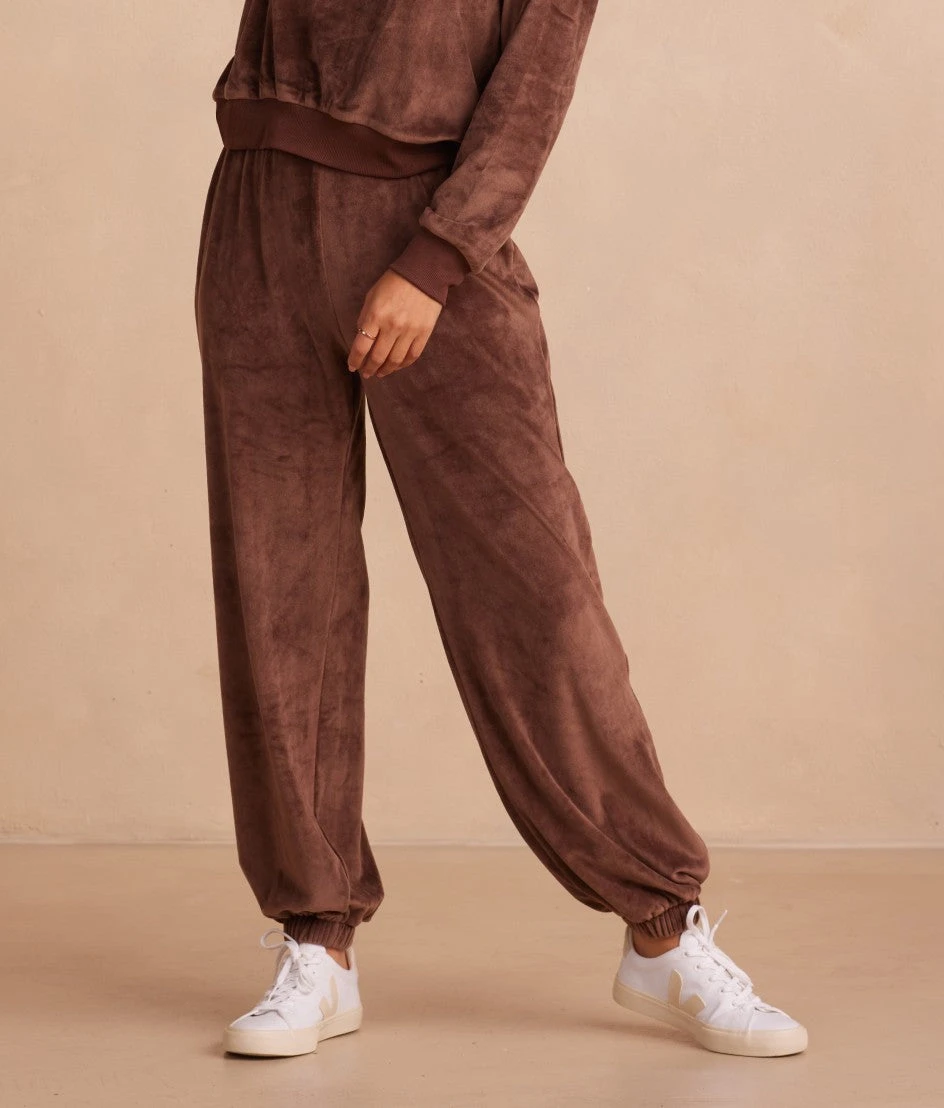 The Plush Velour Jogger - Chocolate 2 The Plush Velour Jogger - Chocolate - Image 2